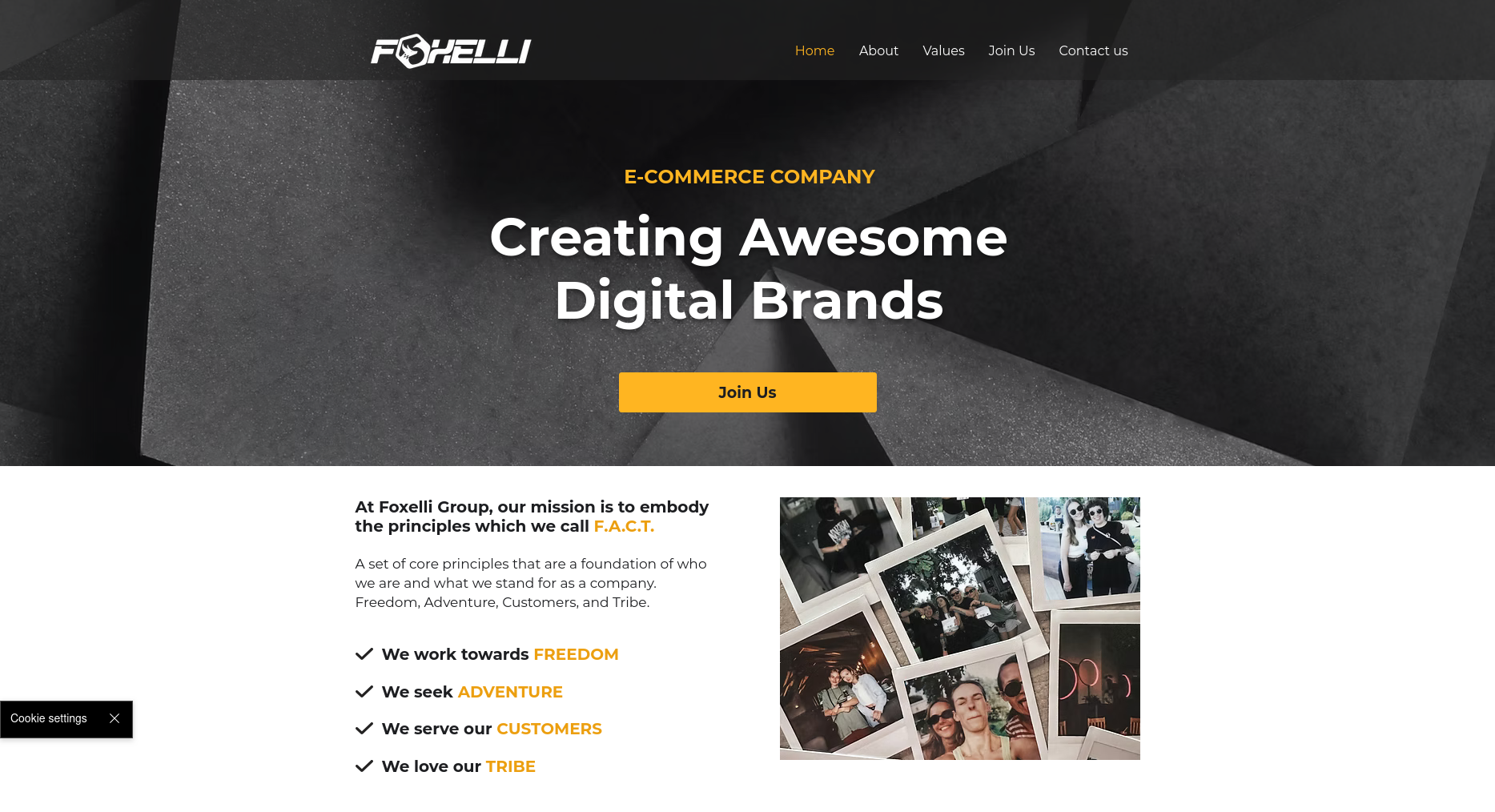 Foxelli Group - E-commerce Multi-Marques